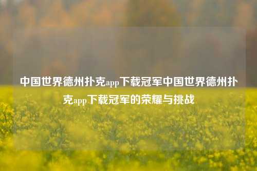 中国世界德州扑克app下载冠军中国世界德州扑克app下载冠军的荣耀与挑战