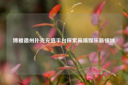 博雅德州扑克充值平台探索高端娱乐新领域