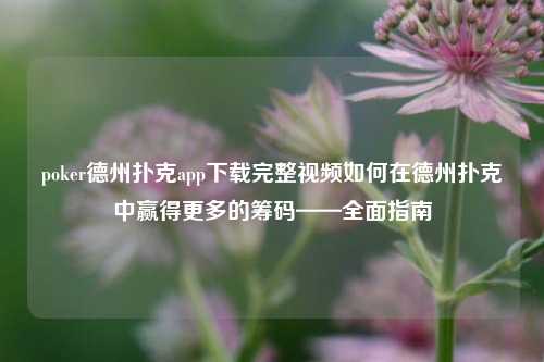 poker德州扑克app下载完整视频如何在德州扑克中赢得更多的筹码——全面指南