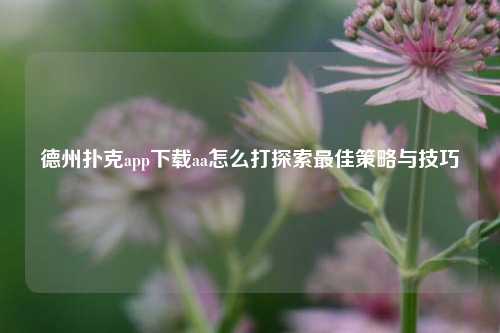 德州扑克app下载aa怎么打探索最佳策略与技巧
