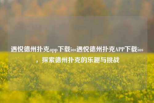 遇悦德州扑克app下载ios遇悦德州扑克APP下载ios，探索德州扑克的乐趣与挑战