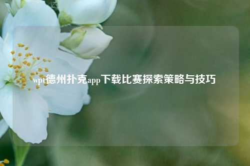 wpt德州扑克app下载比赛探索策略与技巧