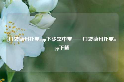 囗袋德州扑克app下载掌中宝——囗袋德州扑克app下载