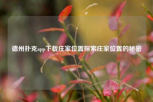 德州扑克app下载庄家位置探索庄家位置的秘密