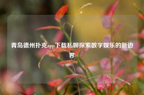 青岛德州扑克app下载私聊探索数字娱乐的新边界