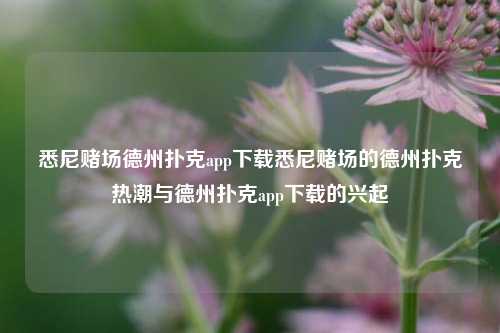 悉尼赌场德州扑克app下载悉尼赌场的德州扑克热潮与德州扑克app下载的兴起