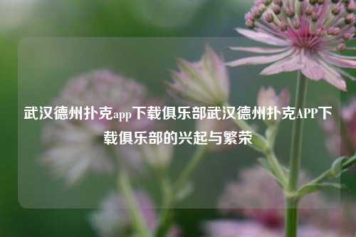武汉德州扑克app下载俱乐部武汉德州扑克APP下载俱乐部的兴起与繁荣