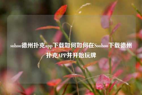 sohoo德州扑克app下载如何如何在Soohoo下载德州扑克APP并开始玩牌