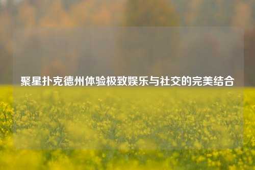 聚星扑克德州体验极致娱乐与社交的完美结合
