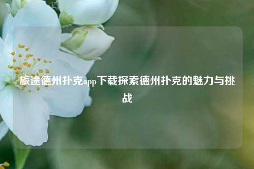 旅途德州扑克app下载探索德州扑克的魅力与挑战