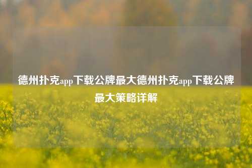 德州扑克app下载公牌最大德州扑克app下载公牌最大策略详解