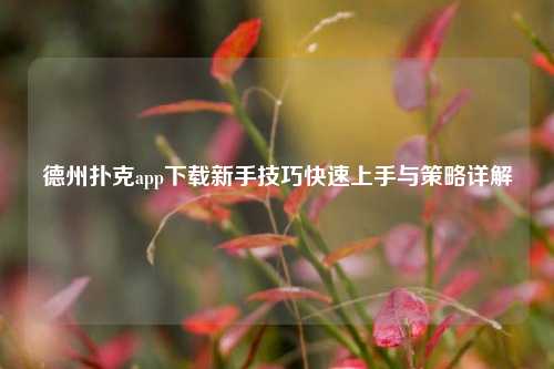 德州扑克app下载新手技巧快速上手与策略详解