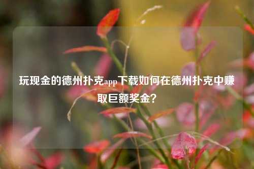 玩现金的德州扑克app下载如何在德州扑克中赚取巨额奖金？