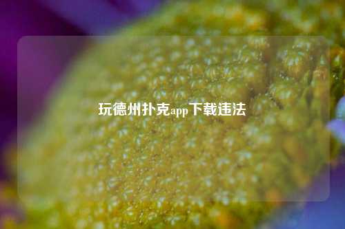 玩德州扑克app下载违法