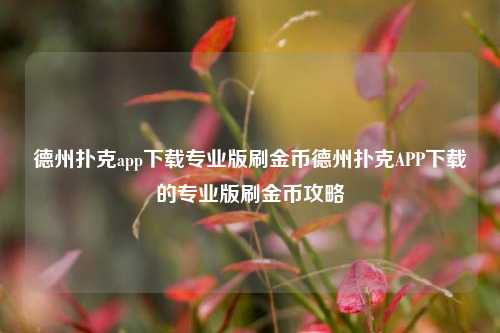 德州扑克app下载专业版刷金币德州扑克APP下载的专业版刷金币攻略