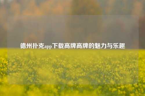 德州扑克app下载高牌高牌的魅力与乐趣
