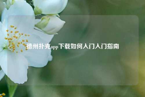 德州扑克app下载如何入门入门指南
