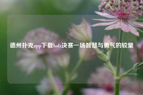 德州扑克app下载holz决赛一场智慧与勇气的较量