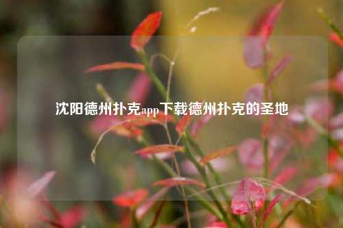 沈阳德州扑克app下载德州扑克的圣地