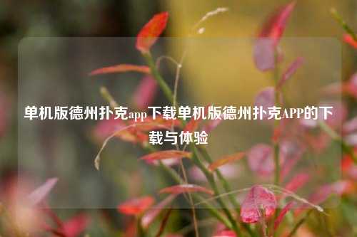 单机版德州扑克app下载单机版德州扑克APP的下载与体验