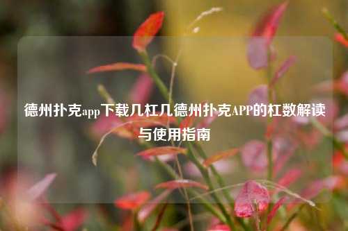 德州扑克app下载几杠几德州扑克APP的杠数解读与使用指南