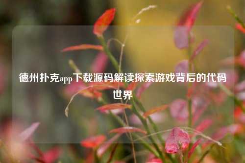 德州扑克app下载源码解读探索游戏背后的代码世界