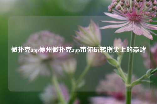 微扑克app德州微扑克app带你玩转指尖上的豪赌