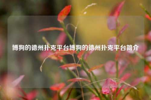 博狗的德州扑克平台博狗的德州扑克平台简介