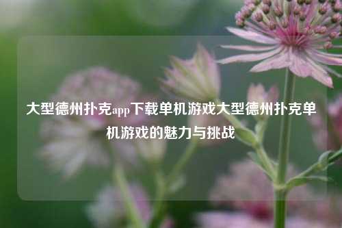 大型德州扑克app下载单机游戏大型德州扑克单机游戏的魅力与挑战