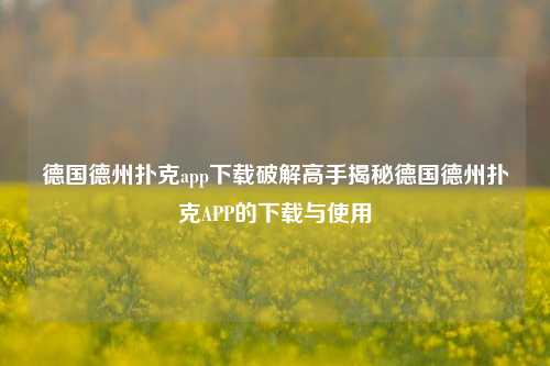 德国德州扑克app下载破解高手揭秘德国德州扑克APP的下载与使用
