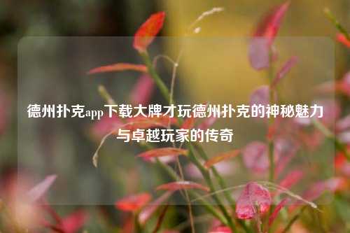 德州扑克app下载大牌才玩德州扑克的神秘魅力与卓越玩家的传奇