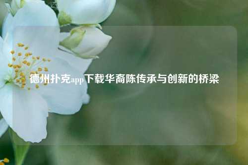 德州扑克app下载华裔陈传承与创新的桥梁