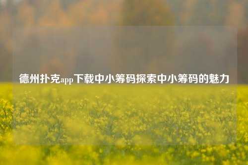 德州扑克app下载中小筹码探索中小筹码的魅力