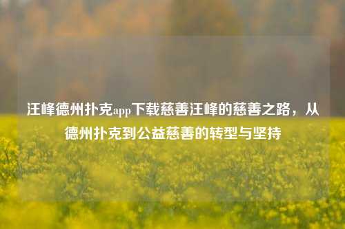 汪峰德州扑克app下载慈善汪峰的慈善之路，从德州扑克到公益慈善的转型与坚持