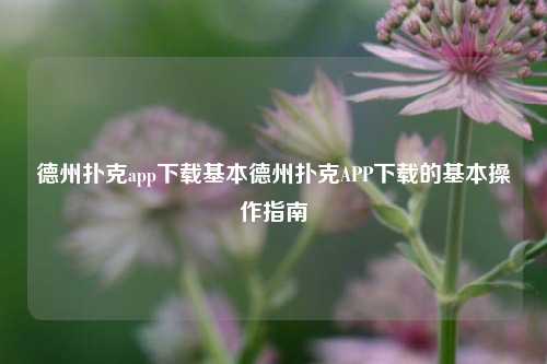 德州扑克app下载基本德州扑克APP下载的基本操作指南