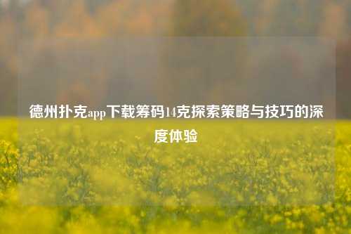 德州扑克app下载筹码14克探索策略与技巧的深度体验