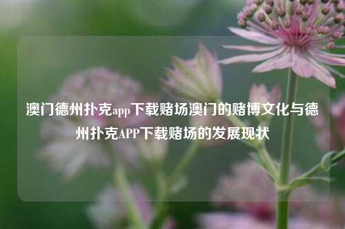 澳门德州扑克app下载赌场澳门的赌博文化与德州扑克APP下载赌场的发展现状