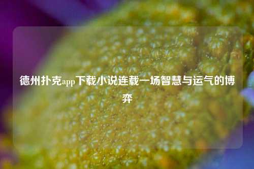 德州扑克app下载小说连载一场智慧与运气的博弈