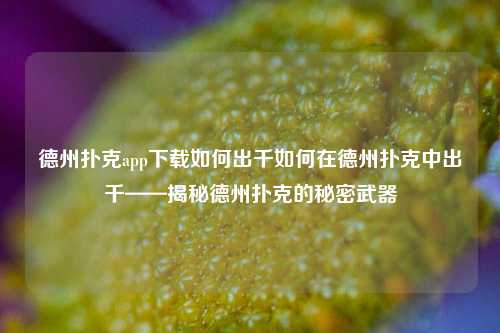 德州扑克app下载如何出千如何在德州扑克中出千——揭秘德州扑克的秘密武器