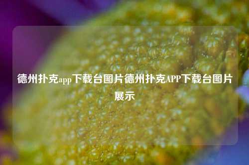 德州扑克app下载台图片德州扑克APP下载台图片展示