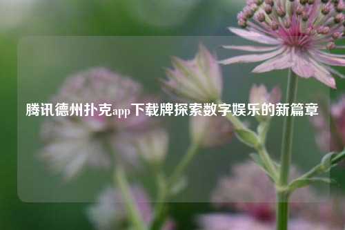 腾讯德州扑克app下载牌探索数字娱乐的新篇章