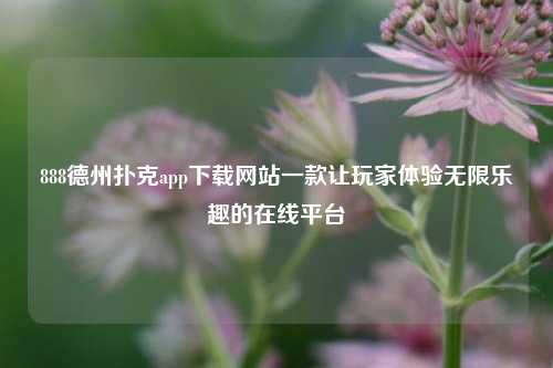 888德州扑克app下载网站一款让玩家体验无限乐趣的在线平台
