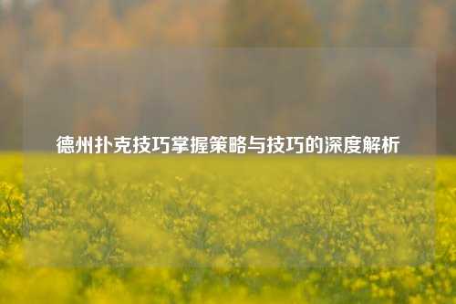 德州扑克技巧掌握策略与技巧的深度解析