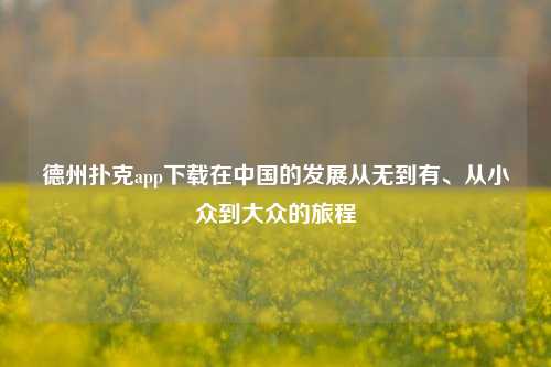 德州扑克app下载在中国的发展从无到有、从小众到大众的旅程