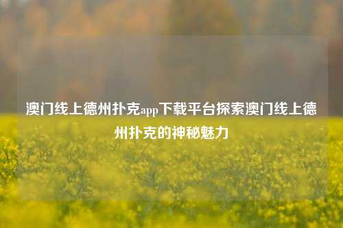 澳门线上德州扑克app下载平台探索澳门线上德州扑克的神秘魅力