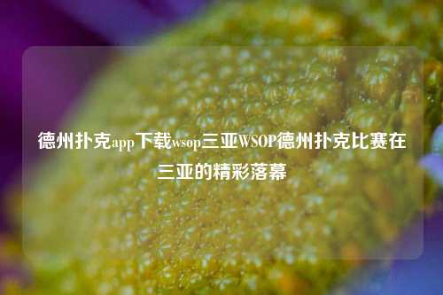 德州扑克app下载wsop三亚WSOP德州扑克比赛在三亚的精彩落幕