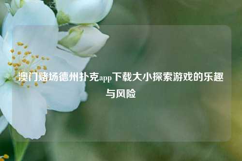 澳门赌场德州扑克app下载大小探索游戏的乐趣与风险