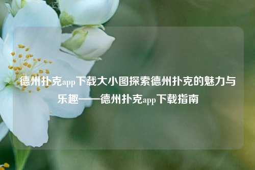 德州扑克app下载大小图探索德州扑克的魅力与乐趣——德州扑克app下载指南