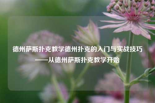 德州萨斯扑克教学德州扑克的入门与实战技巧——从德州萨斯扑克教学开始