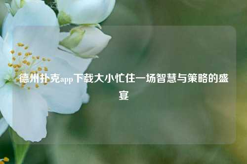 德州扑克app下载大小忙住一场智慧与策略的盛宴